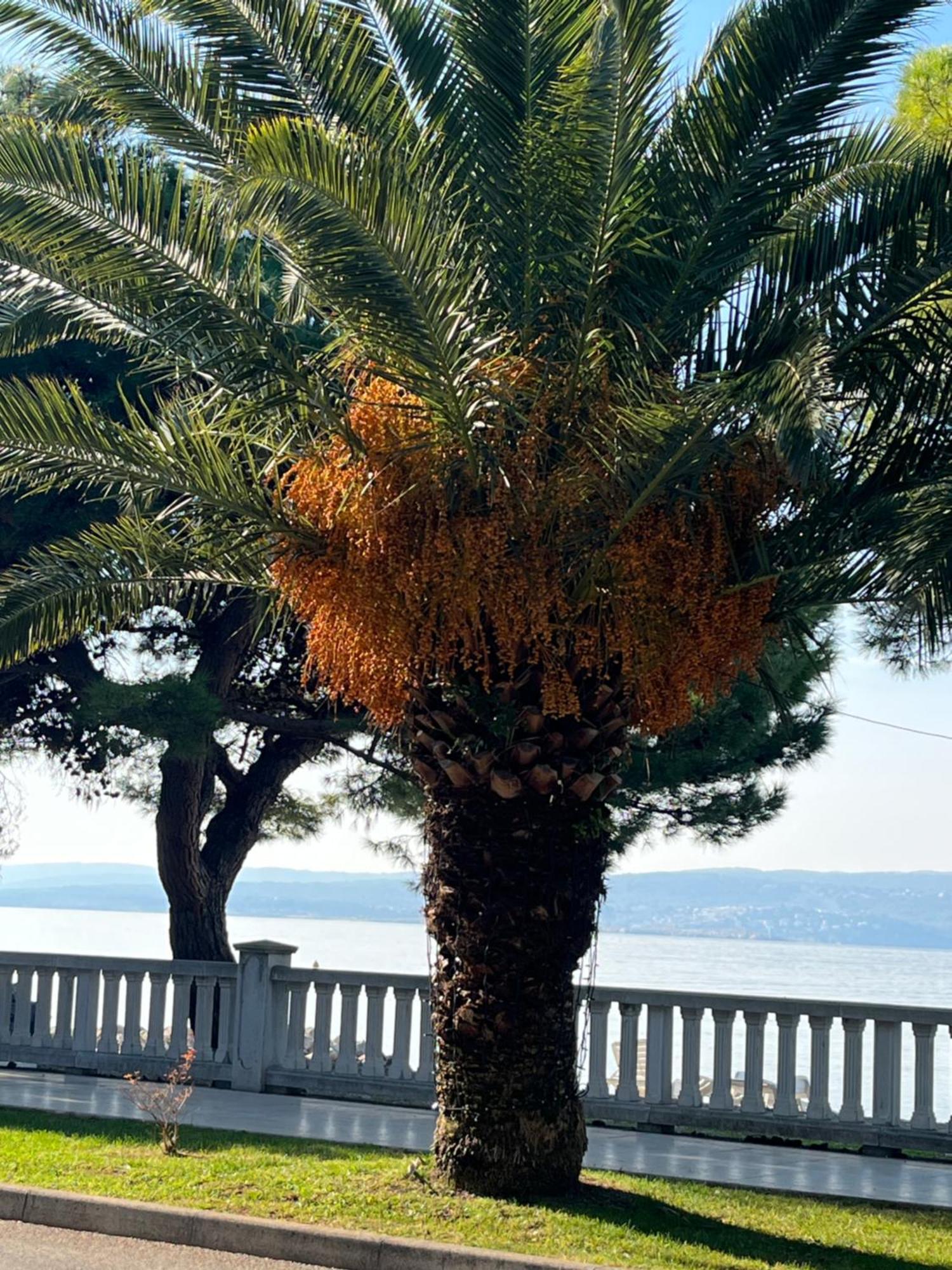 Crikvenica Right On The Beach Екстериор снимка